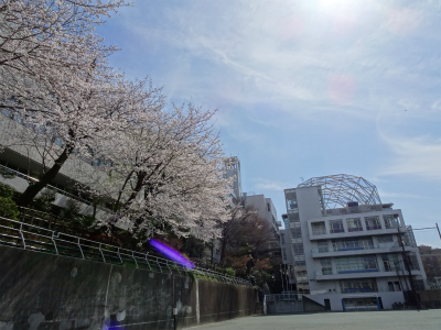 DSC00500.jpg