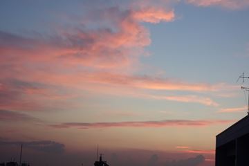 DSC05882校長日記写真.JPG