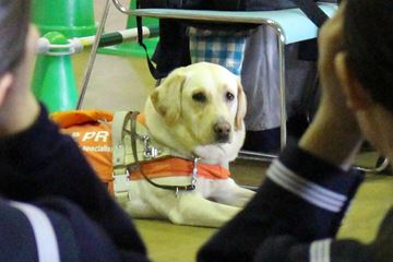IMG_8210校長日記写真.JPG