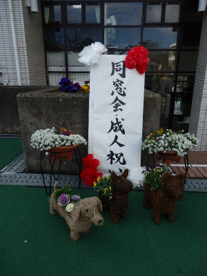 P1090119.jpg