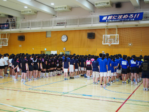 sP8232387.jpg