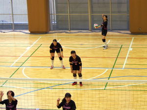 sP8232497.jpg