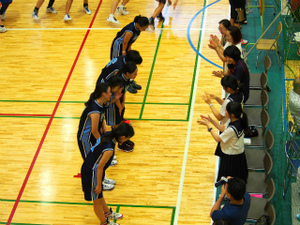 sP8232578.jpg
