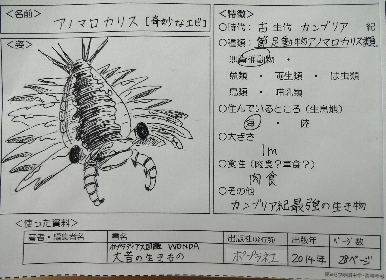 図書館を活用した授業 生物の進化 中2理科 トピックス 中学 高等学校 聖ヨゼフ学園