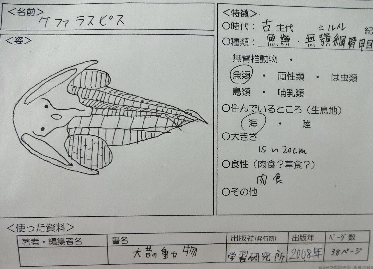 図書館を活用した授業「生物の進化」（中2理科） トピックス 中学・高等学校｜聖ヨゼフ学園