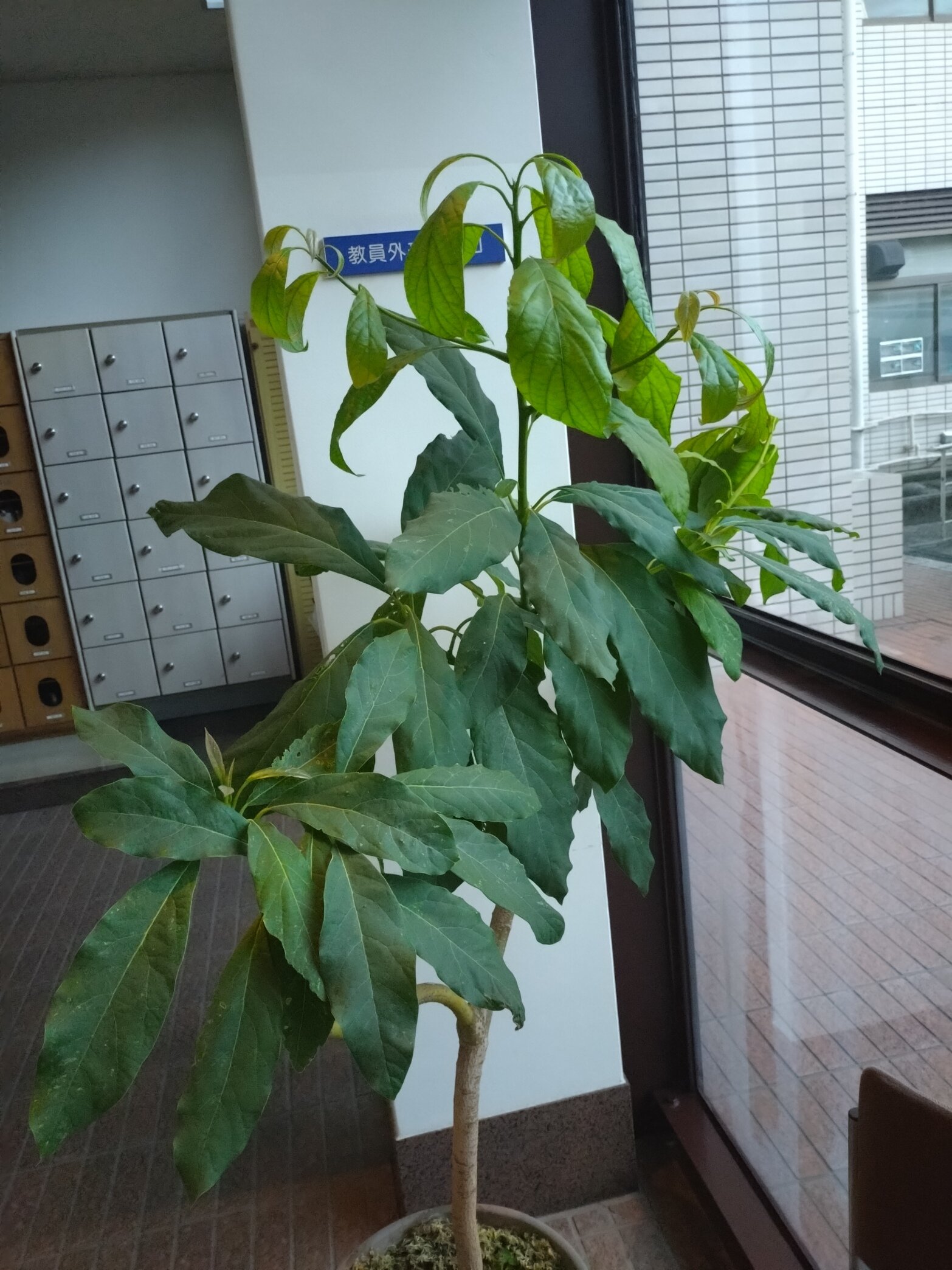 20250714_184345.JPG