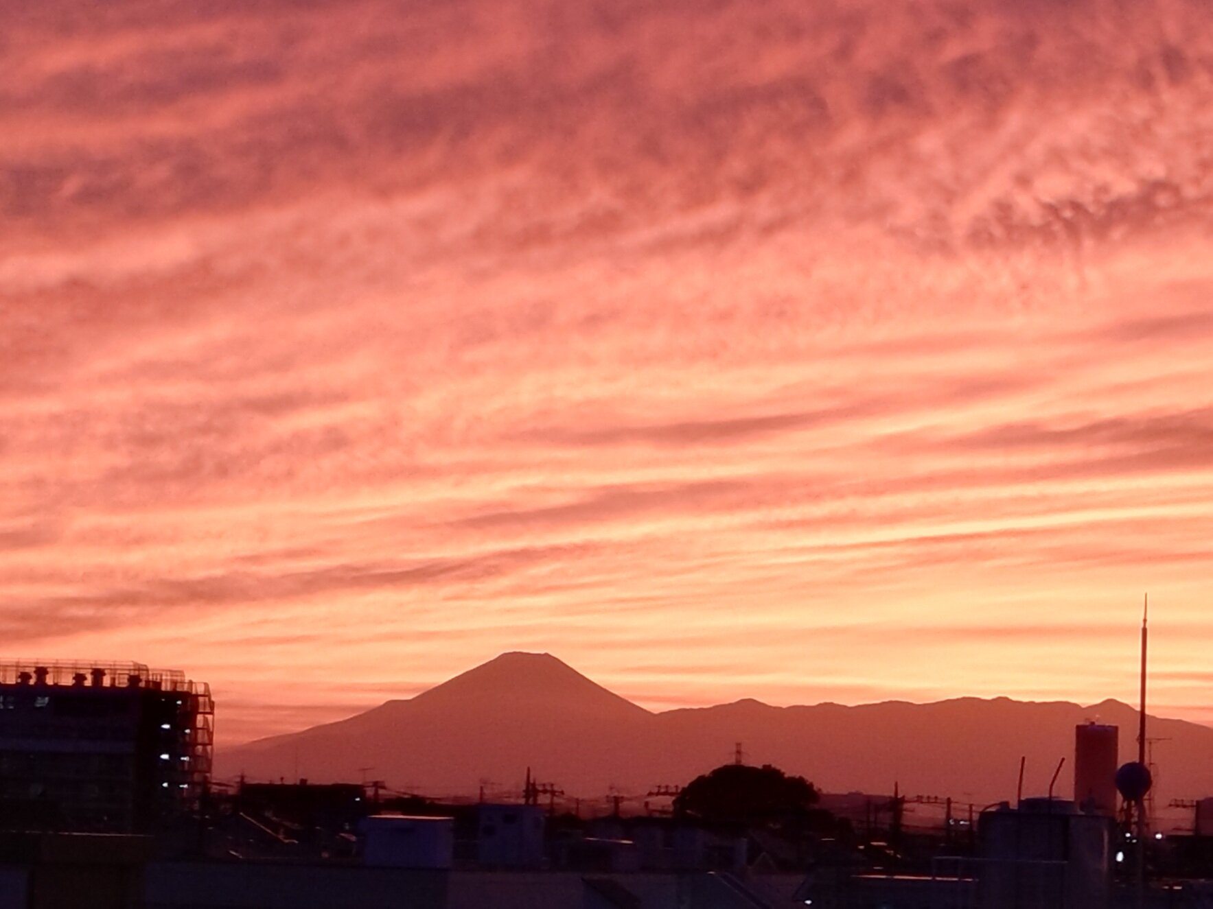 20251008_172917.JPG