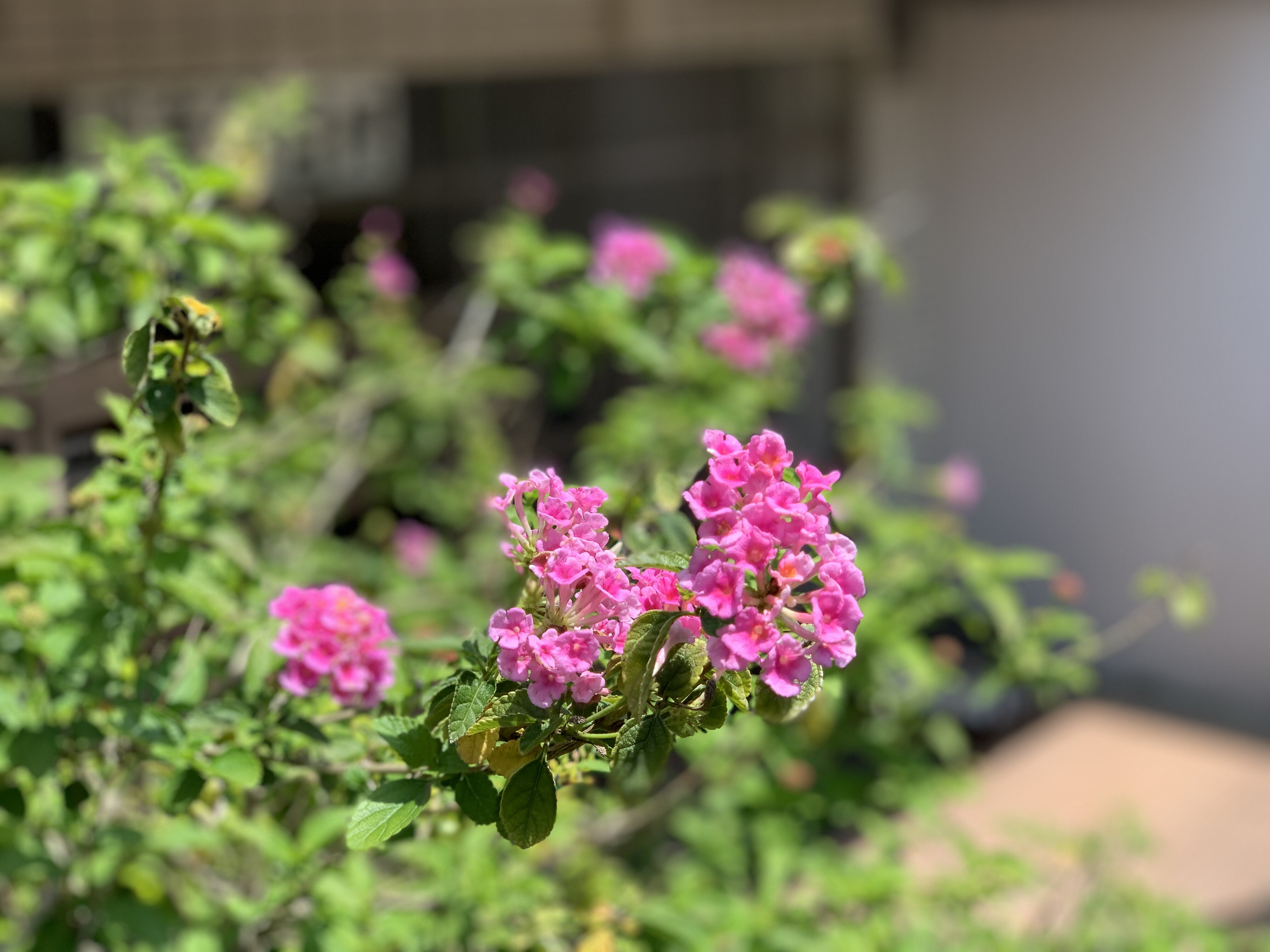 23451421-FA94-4FA2-85F2-CD89031132A1.jpeg