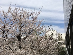 IMG_8869.jpg